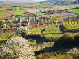 Theyerner Höhe, © zvg Gemeinde Inzersdorf-Getzersdorf