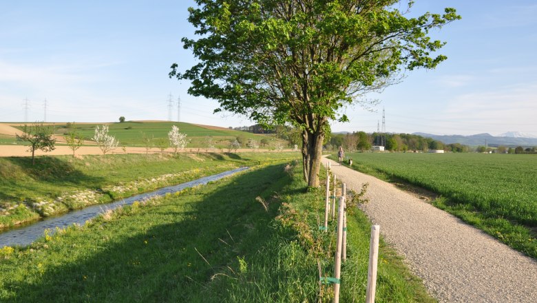 Wildobstlehrpfad, © zVg Gemeinde Ruprechtshofen