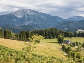 Almerlebnis am Hochbärneck, © Fred Lindmoser