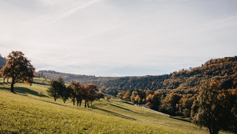 Waldjuwel Mostviertel, © Sabine Wieser Fotografie