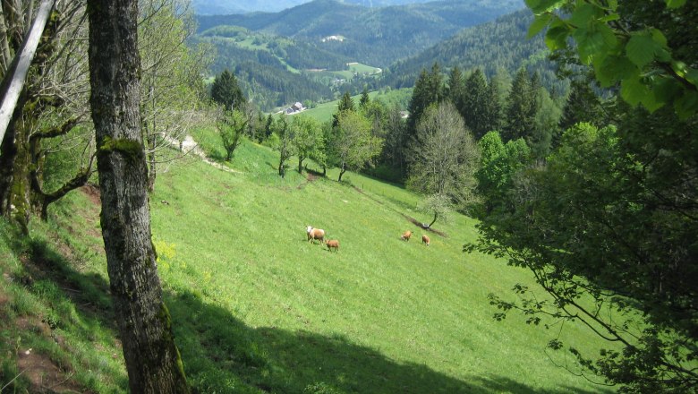 Höhensteinrunde, © Fam. Helmel