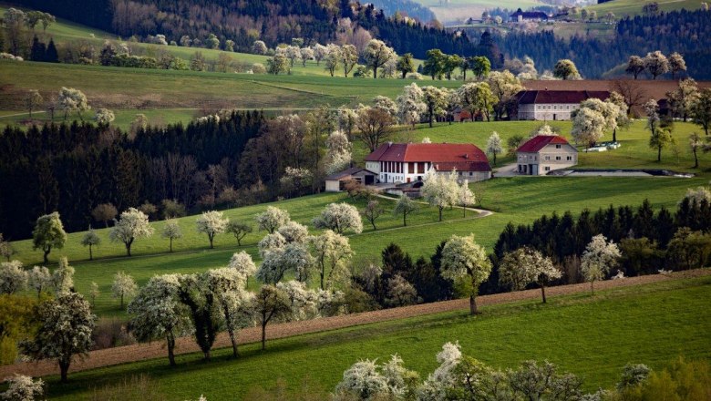 Fotopunkt Karl Lammerhuber Blick, © schwarz-koenig.at