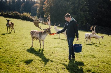 Wildaufseher-Führung im Wildpark Hochrieß, © Andreas Zehetner