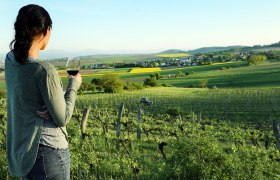 Blick ins Weinland Traisental, © weinfranz.at