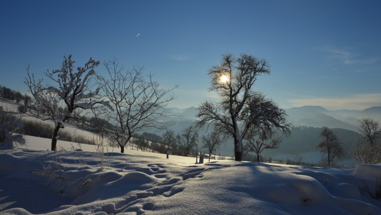 Traumhafte Winterlandschaft, © Gottfried & Rosina Wagner