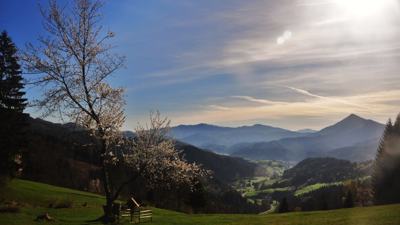 Türnitz eingebettet zwischen den umliegenden Bergen, © Größbacher Hubert