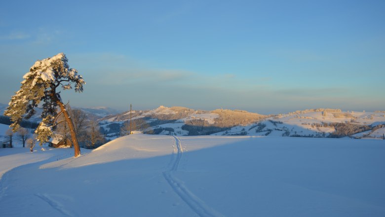 Die Winterlandschaft lädt zum Wandern ein, © Gottfried & Rosina Wagner