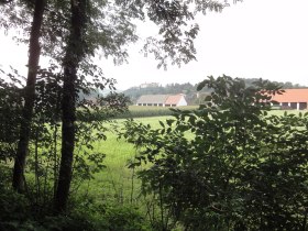 Waldandacht-Wanderweg nach Reidling, © Anton Hollaus