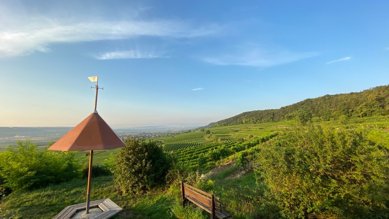 Herrliche Aussichten vom Parapluiberg, © Walter Pernikl