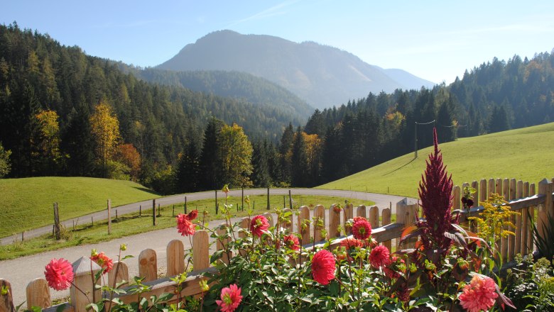 Outlook to Hetzkogel, © Grasberger