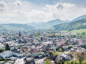 Ortsansicht Waidhofen an der Ybbs, © Stadt Waidhofen an der Ybbs