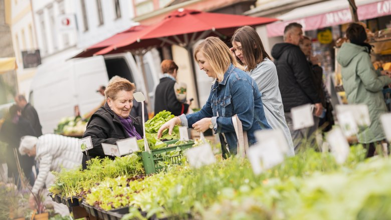 Wochenmarkt Waidhofen an der Ybbs, © Dominik Stixenberger