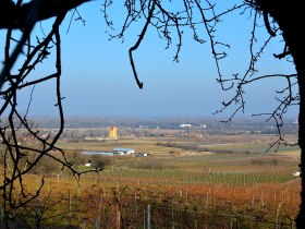 Blick ins Donautal, © Walter Pernikl