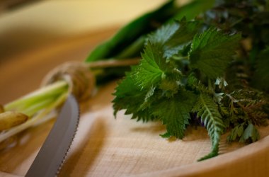 Kochen mit Kräutern, © Lisa Helmreich