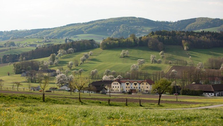 Fotopunkt Zeilinger, © schwarz-koenig.at