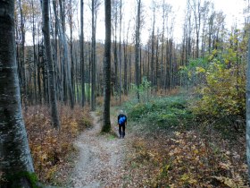 Auf dem Weg Richtung Schwarzenberg, © Mostviertel - OÖ Mariazellerweg