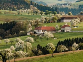 Fotopunkt Karl Lammerhuber Blick Südosten, © Mostviertel