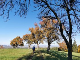 Herbstliche Landschaften, © Brigitte Hofschwaiger