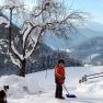 Blick zum Hochkar, © Poidlbauer