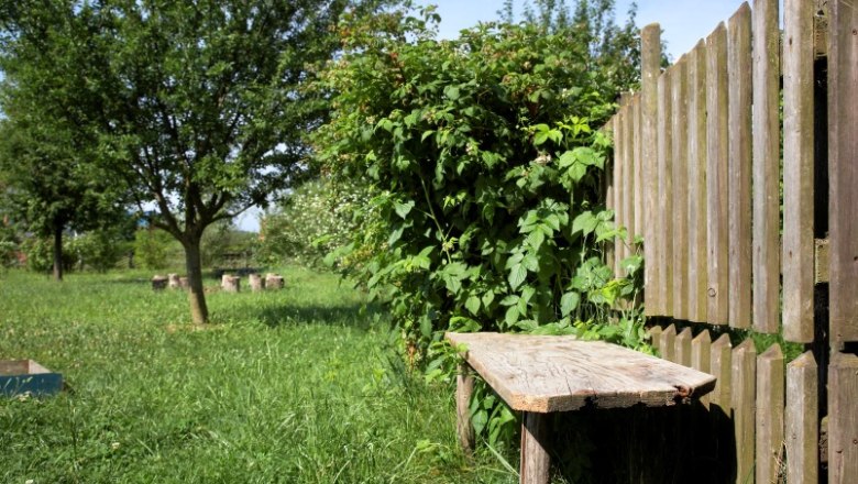 Feuer-Erde Garten, © Natur im Garten/Alexander Haiden