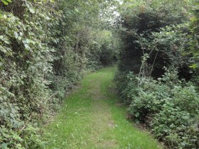 Waldandacht-Wanderweg nach Reidling, © Anton Hollaus