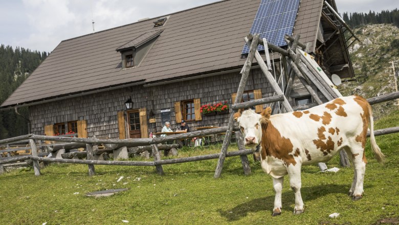 Ybbstalerhütte, © Theo Kust