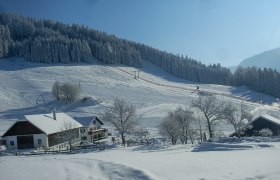 Biohof Moas im Winter, © Familie Buber