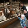 Familie Büchinger im Stall, © Fam. Büchinger