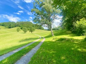 Furtenreithweg Opponitz, © Rudi Kefer