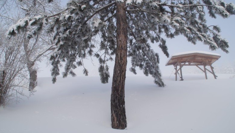 Winter im Zwickelreith, © Familie Roseneder