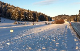 GÖLLERLOIPEN 5 - 5/1 Sonnenhangloipe, © Nordisches Zentrum St. Aegyd