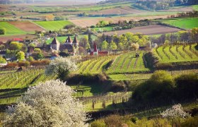 Theyerner Höhe, © zvg Gemeinde Inzersdorf-Getzersdorf