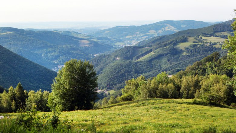 Ausblick vom Muckenkogel, © weinfranz.at