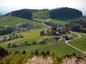 Fotopunkt Voralpenkreuz, © schwarz-koenig.at