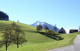 Blick zur Voralpe, © Mostviertel