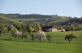 Fotopunkt Vierkanterblick, © schwarz-koenig.at