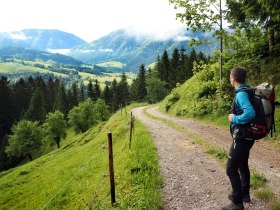 Ausblick an der Via Trinitatis, © Mostviertel