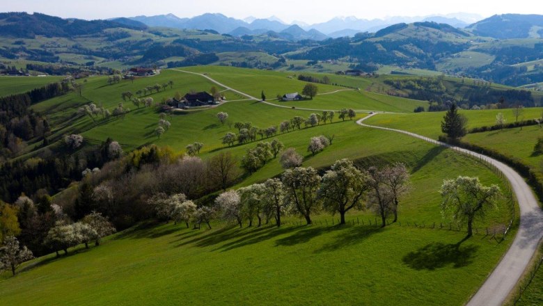 Fotopunkt Voralpenkreuz, © schwarz-koenig.at