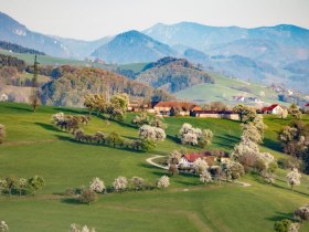 Fotopunkt Karl Lammerhuber Blick, © schwarz-koenig.at