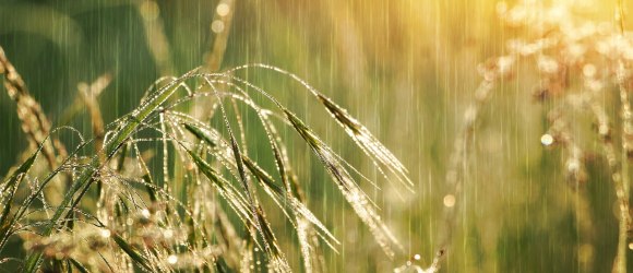 Wetter - Regen, © pixabay.com