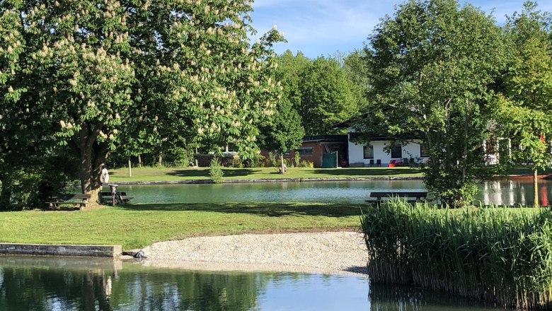 Picknick am Ausee, © Marktgemeinde Blindenmarkt