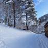 Garten im Winter, © Reisenbichler