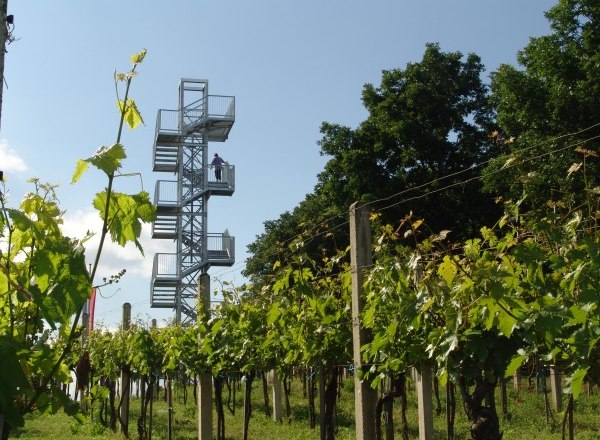 Aussichtswarte Korkenzieher, © Donau Niederösterreich