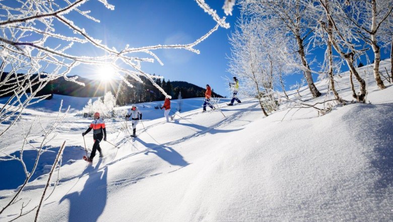 Glitzernde Schneelandschaft, © Fred Lindmoser