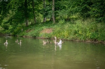 Martin und seine Freunde, © Einkehrhof Poggau