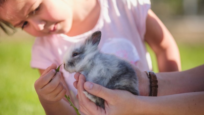 Hase wird gefüttert, © Die Hochriess-Distelberger GmbH & Co.KG