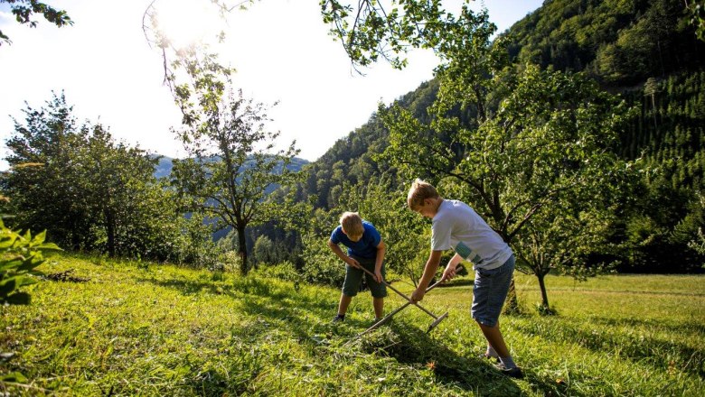 Urlaub am Zwergerlhof, © schwarz-koenig.at