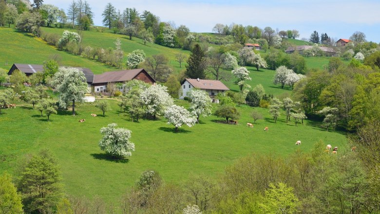 Ferienwohnung Familie Vonwald, © Karl Vonwald