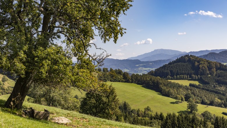 Sagenhafter Ausblick in die Mostviertler Bergwelt, © Theo Kust