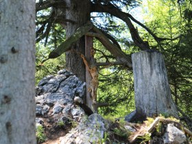 Gipfelkreuz am Leoferer Stein, © Ewald Wachter